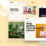 Caridad - Charity WordPress Theme