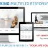 Striking - MultiFlex & Ecommerce Responsive WP Theme