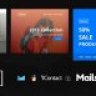 Mega - 35+ Modules + Online Access + Mailster + MailChimp