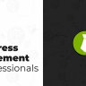 MainWP Jetpack Scan Extension - WordPress Plugin (Nulled Free)