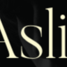 Asli - AJAX Portfolio Elementor WordPress Theme v1.8.5