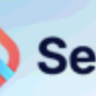 Seon - SEO WordPress Theme