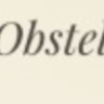 Obstella Pregnancy Care & Obstetrician WP Theme