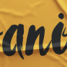 Sanös Extended Script Font