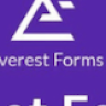 Everest Forms Advanced Form Analytics