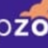 Divi Nonprofit [Wpzone]