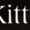 Kitty - Fashion Clothing, Furniture WordPress Theme
