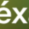 Trexa Technology & IT Solutions WordPress Theme