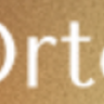 Orto - Physiotherapy, Chiropractor & Rehabilitation WordPress Theme