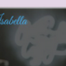 Isabella – Digital Agency One Page WordPress Theme