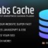 Borlabs Cache - WordPress Caching Plugin