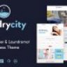 Laundry City | Dry Cleaning & Washing Services WordPress Theme