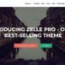 Zelle Pro - Modern Responsive WordPress Theme